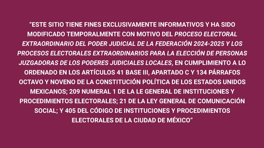 Proceso Electoral Extraordinario 2024-2025